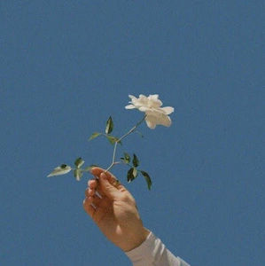 Meet your Posher, Annabelle